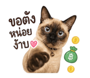 858396882