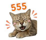 858398425