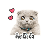 858398509