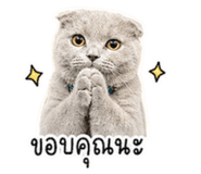 858398510