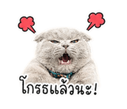 858398513