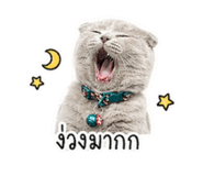 858398514