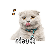 858398519