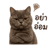 858399028