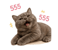 858399043