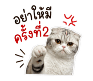 858399045