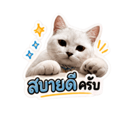 858399573