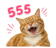 858399882