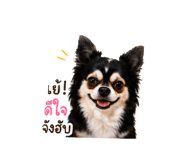 858400270
