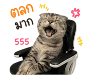858400616