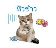 858400722