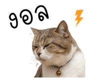 858400728
