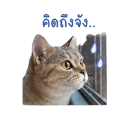 858400851