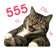 858400956