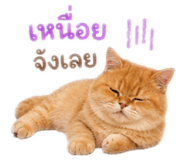 858401366