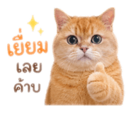858401374