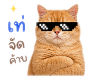 858401377