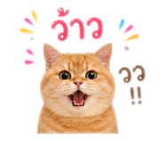 858401380