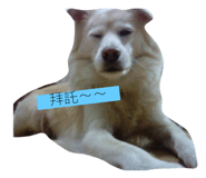 85840251