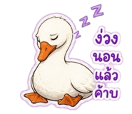 858402899