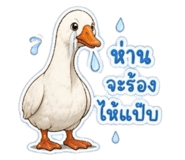 858402914