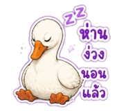 858402915