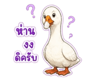 858402917