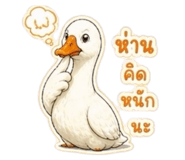 858402921