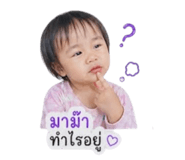 858403702