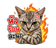 858403713