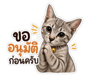 858403728
