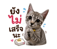 858403732
