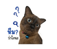 858405705