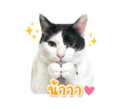 858405711