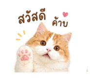 858406353