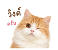 858406357