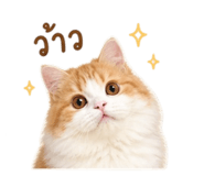 858406360