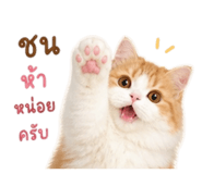 858406366