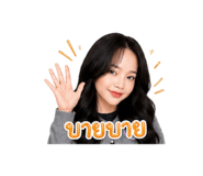 858406616