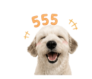 858408349