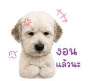 858408350