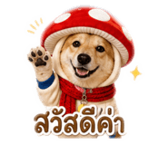 858408521