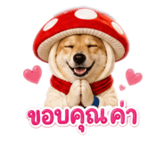 858408522