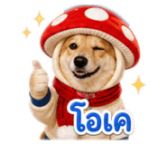 858408523