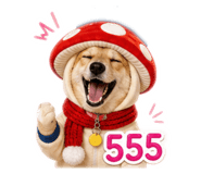 858408524