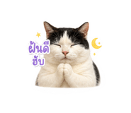 858409822