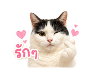 858409826