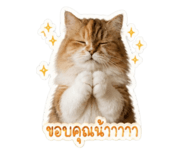 858411127