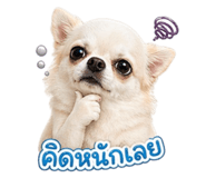 858412123