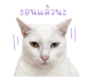 858414039
